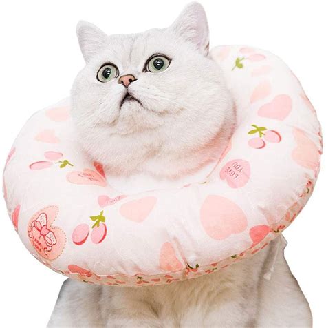 alternative to elizabethan collar for cats|best elizabethan collar for cats.